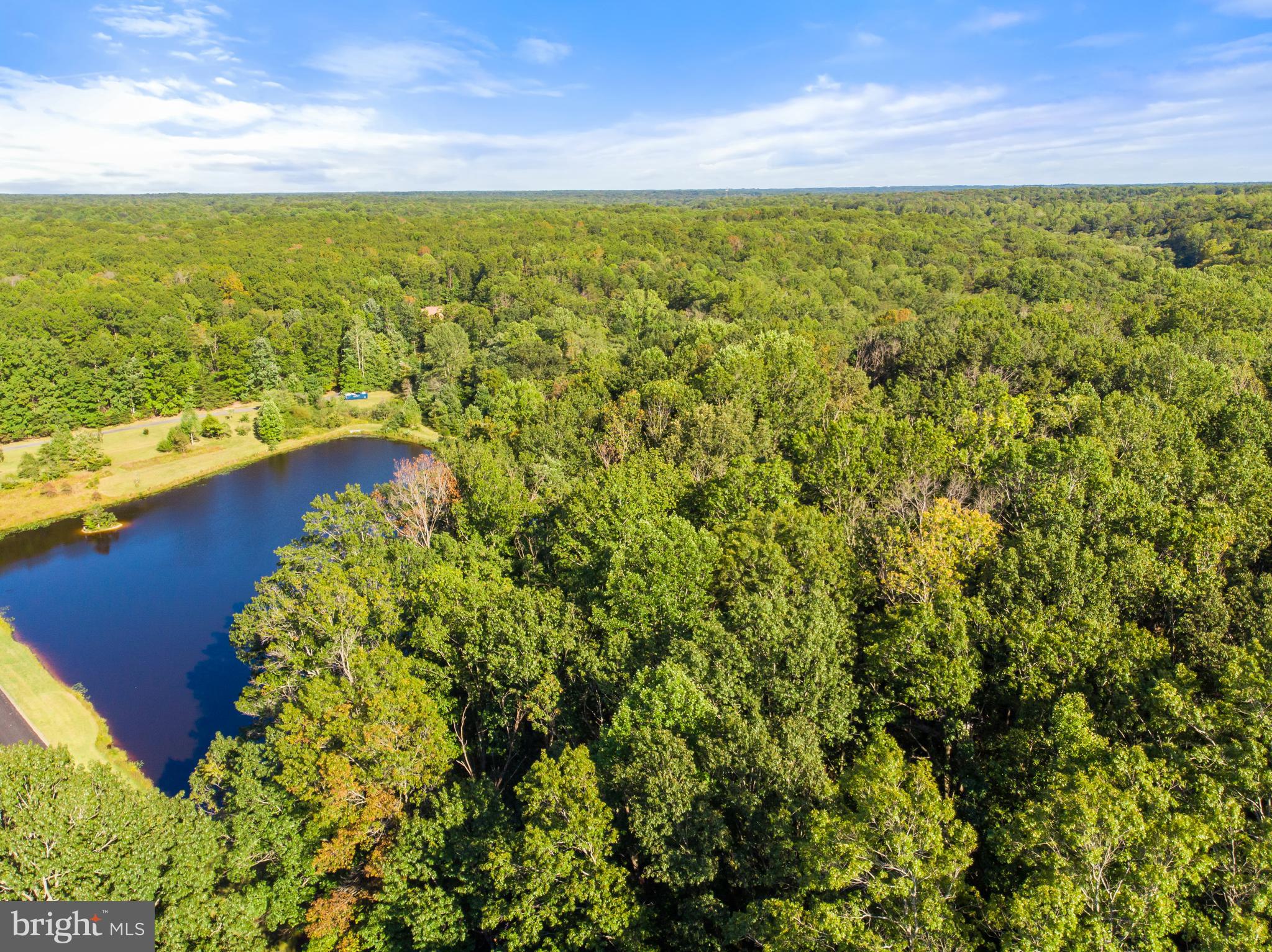 2199 Beaver Dam Road Midland, VA 22728 - Photo 63 of 74 Aerial View