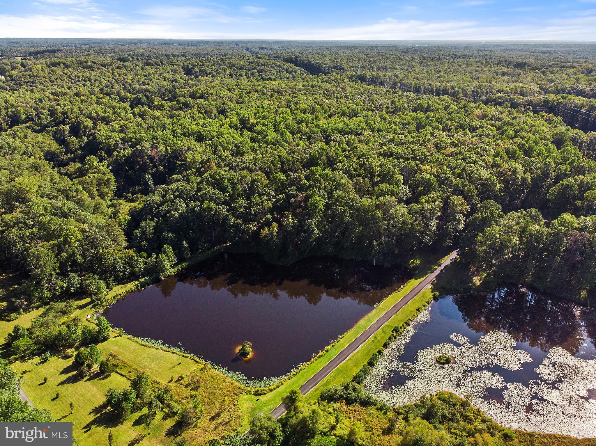 2199 Beaver Dam Road Midland, VA 22728 - Photo 65 of 74 View of entire Pond