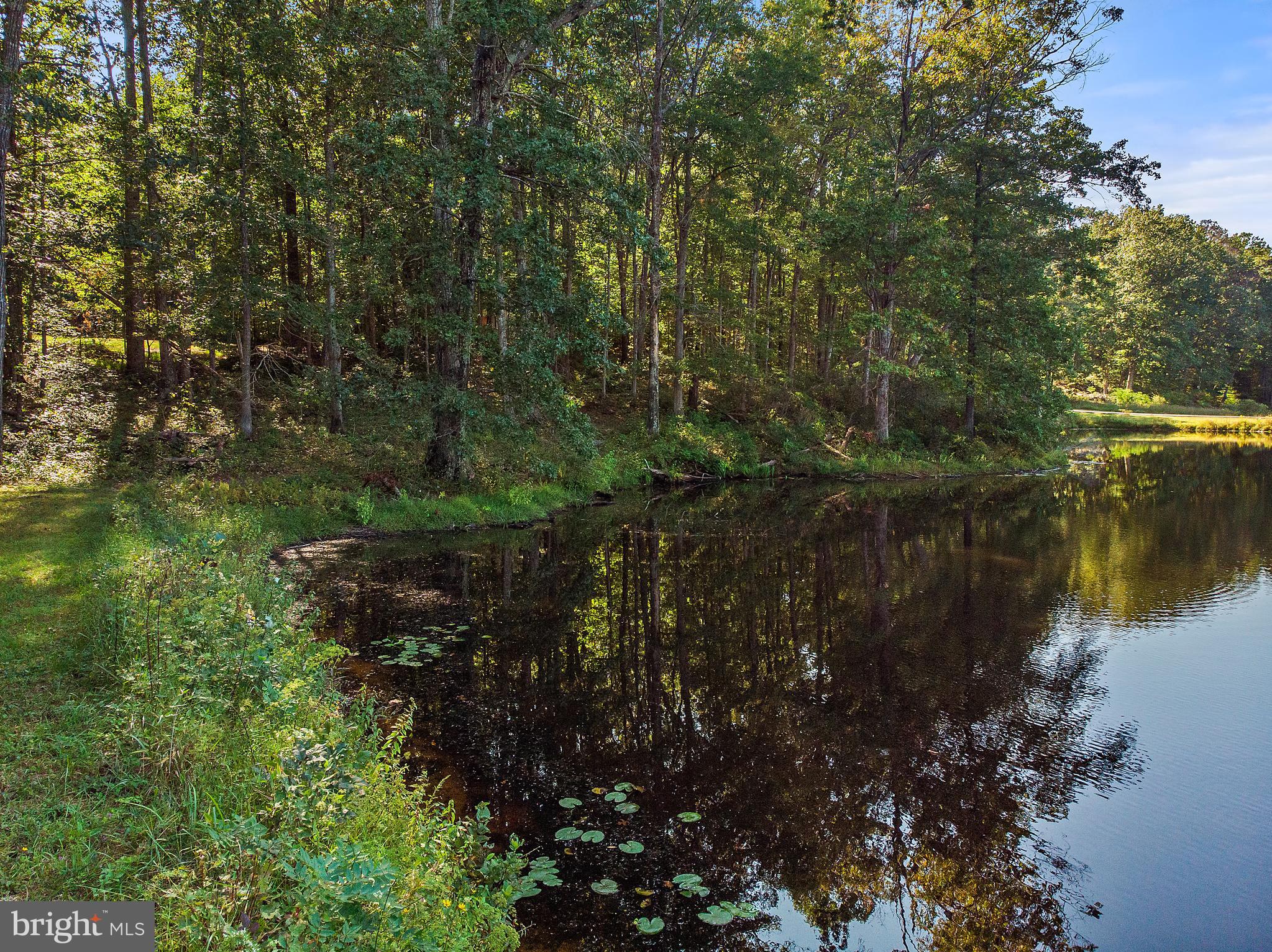 2199 Beaver Dam Road Midland, VA 22728 - Photo 66 of 74 Waterfront Area Great for Fishing & Relaxing