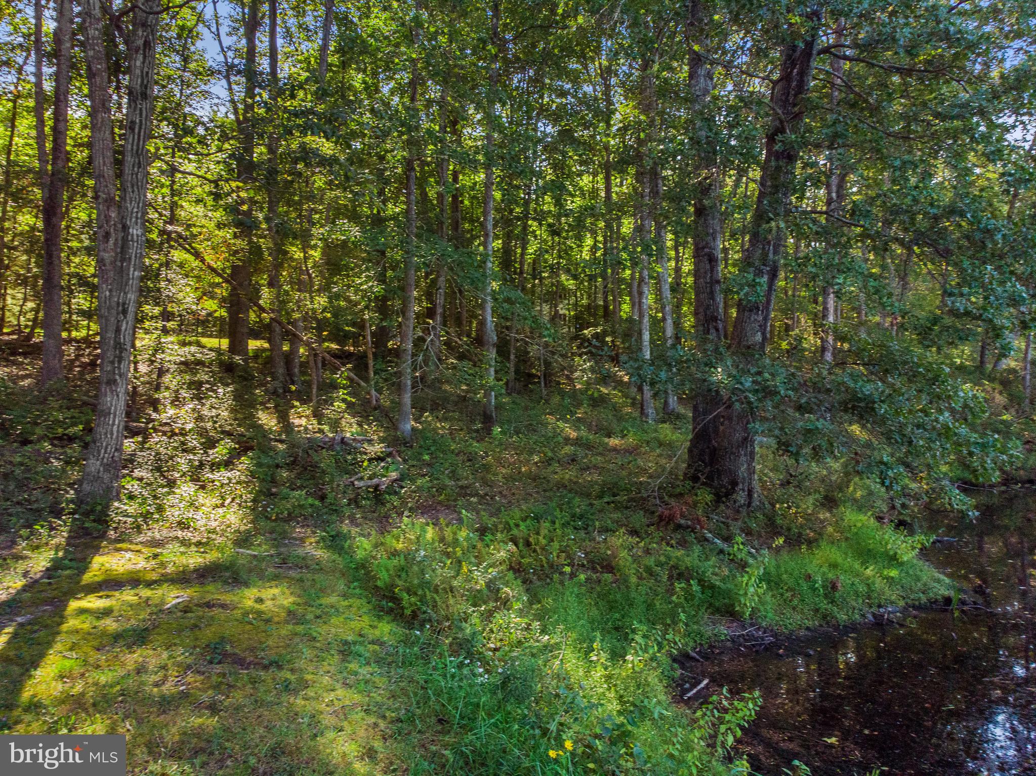 2199 Beaver Dam Road Midland, VA 22728 - Photo 67 of 74 Great place for a Gazebo!