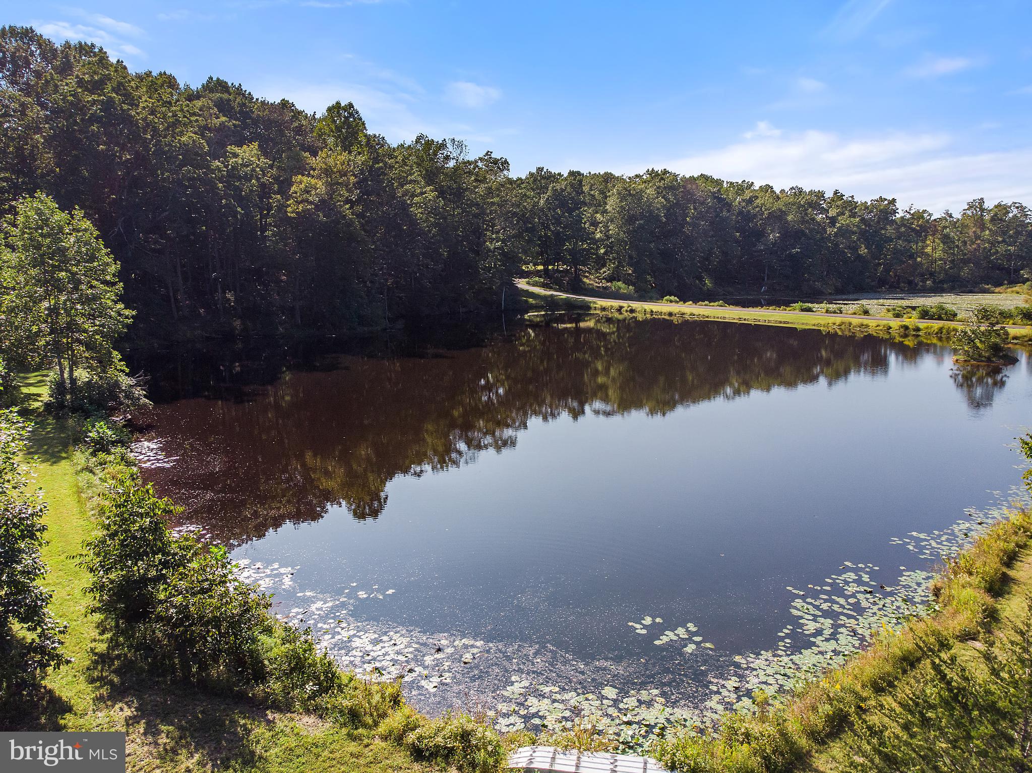 2199 Beaver Dam Road Midland, VA 22728 - Photo 68 of 74 Pond view