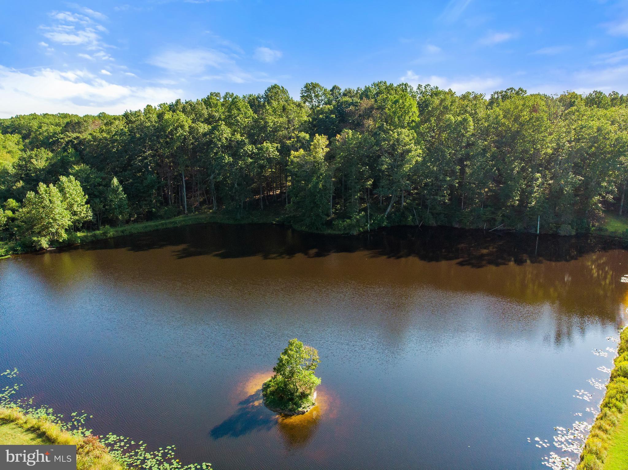 2199 Beaver Dam Road Midland, VA 22728 - Photo 70 of 74 Mini Island on other side of the Pond