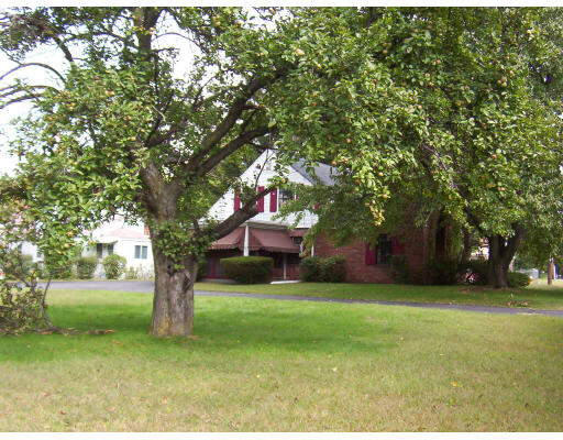 90 Cloran Street Springfield, MA 01109 - Photo 2 of 2 a tall tree in middle of green field