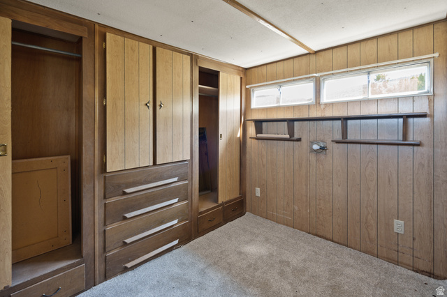 12615 Cedar Ridge Drive, Unit C41 Fairview, UT 84629 - Photo 15 of 32 View of closet