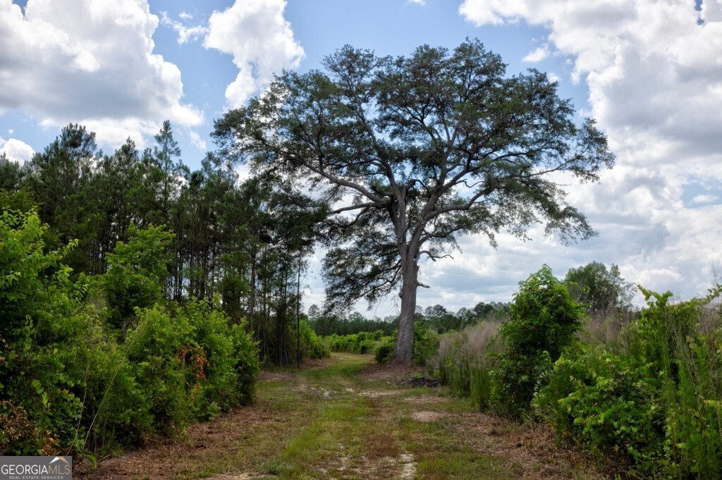0 Highway 204 & Carlos Cowart Road Pembroke, GA 31321 - Photo 43 of 47