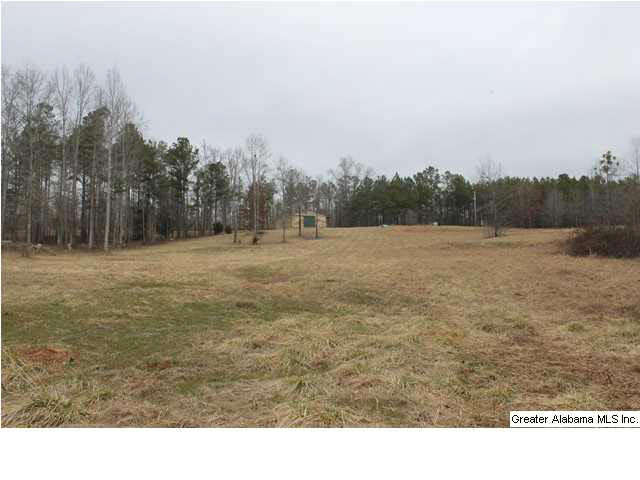 523 Pine Road, Unit 30 ACRES Daviston, AL 36256 - Photo 8 of 9