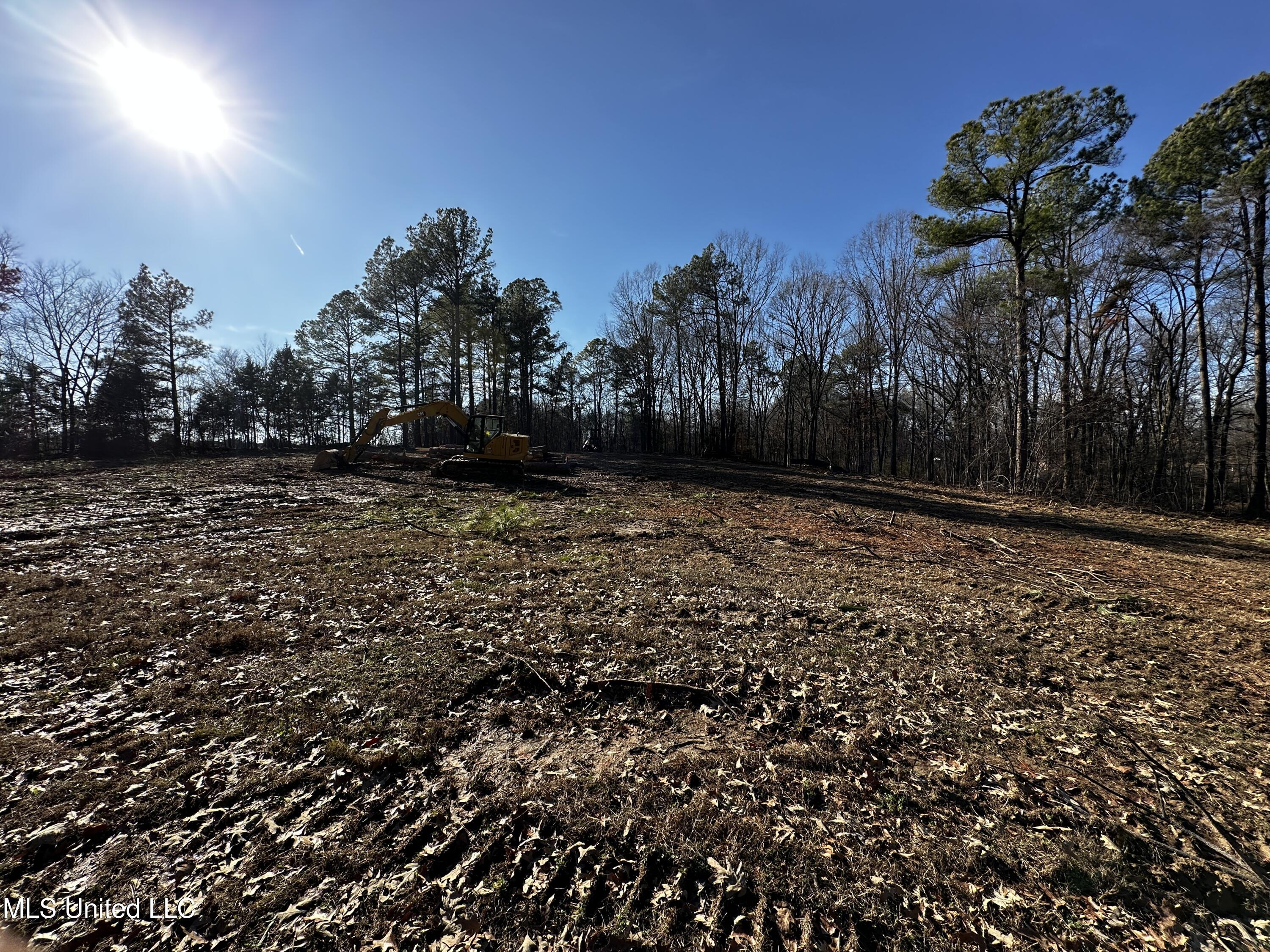 Curbo Lane Olive Branch, MS 38654 - Photo 3 of 7 IMG_9781