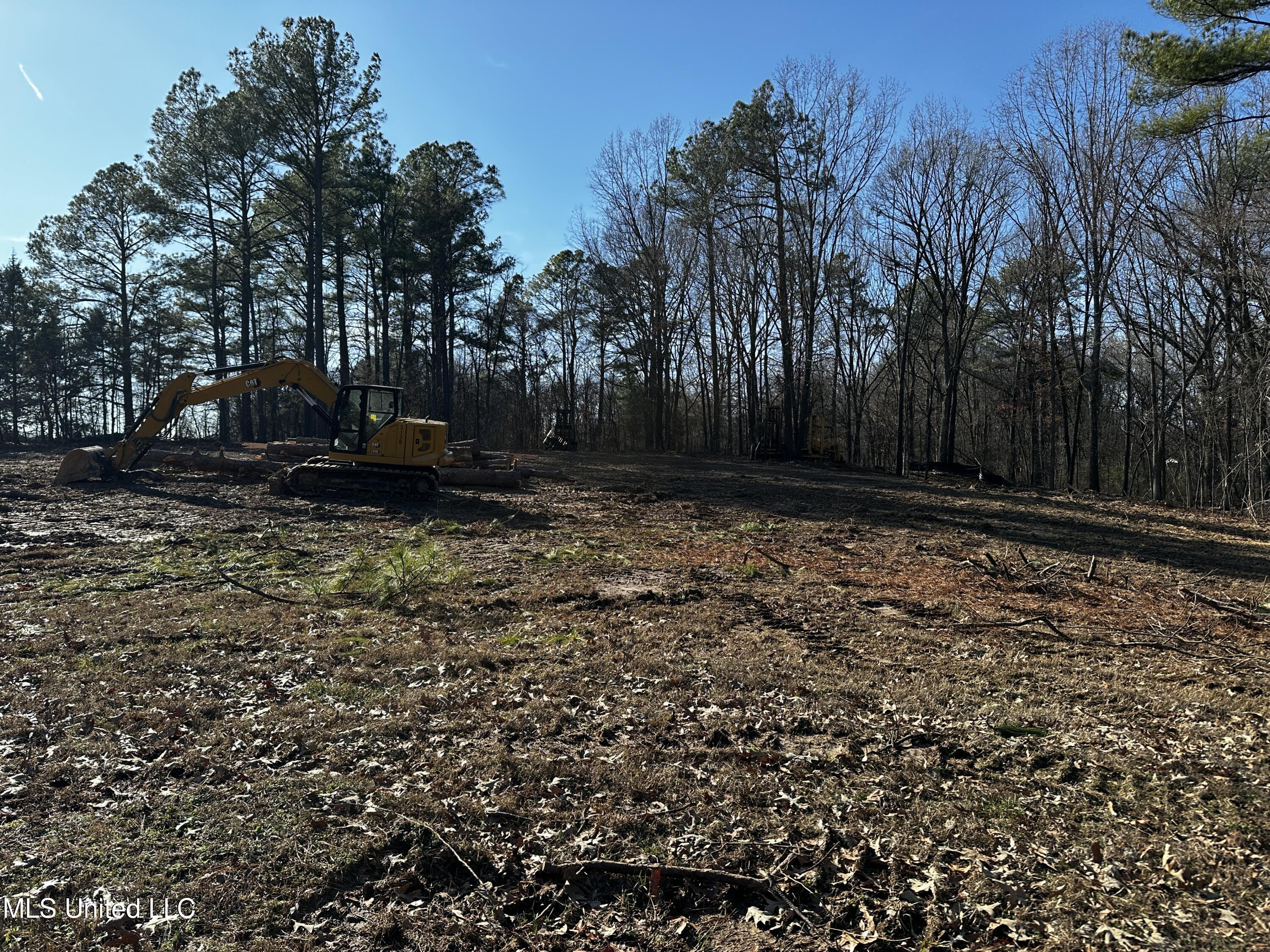 Curbo Lane Olive Branch, MS 38654 - Photo 4 of 7 IMG_9782