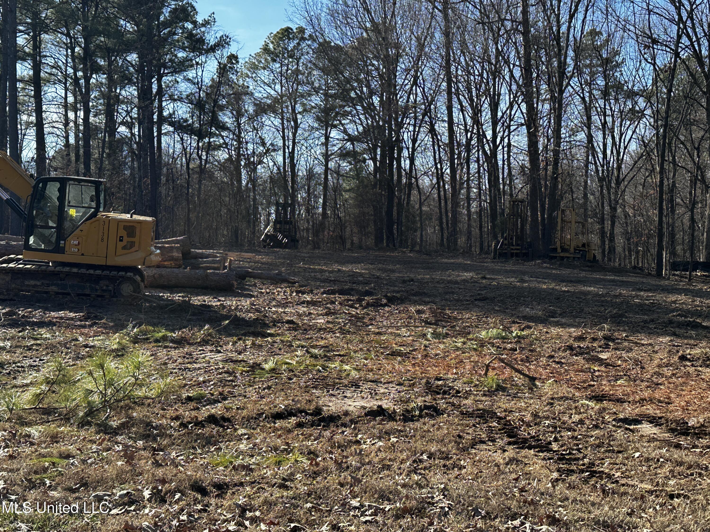 Curbo Lane Olive Branch, MS 38654 - Photo 5 of 7 IMG_9783