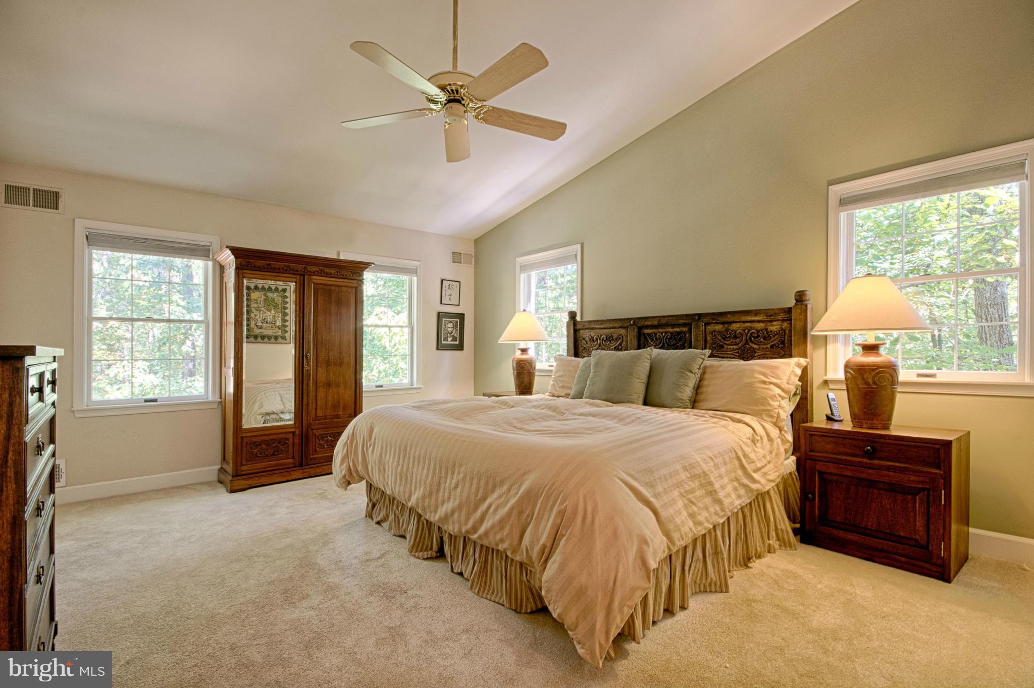 10903 Hunter Station Road Vienna, VA 22181 - Photo 14 of 30 Bedroom (Master)