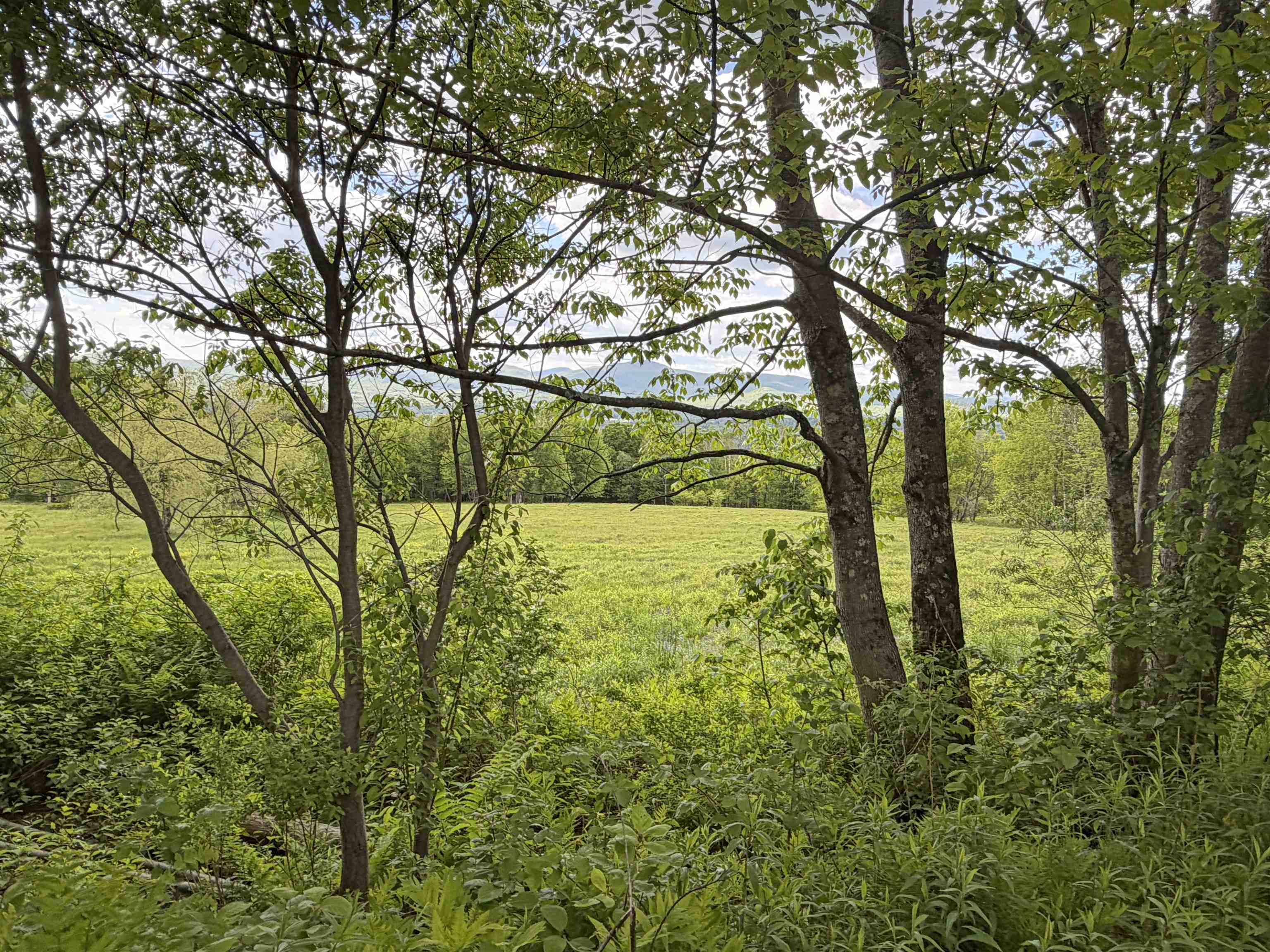 877 Grow Road Johnson, VT 05656 - Photo 5 of 5