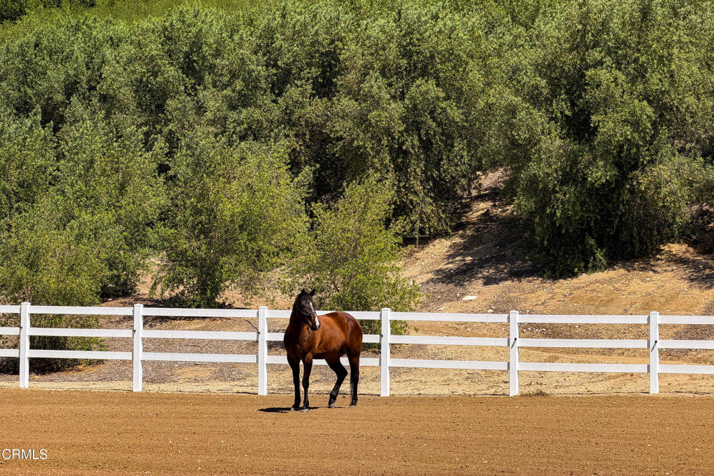 14855 Middle Ranch Road Moorpark, CA 93021 - Photo 58 of 75 14855 Middle Ranch Rd Moorpark-101