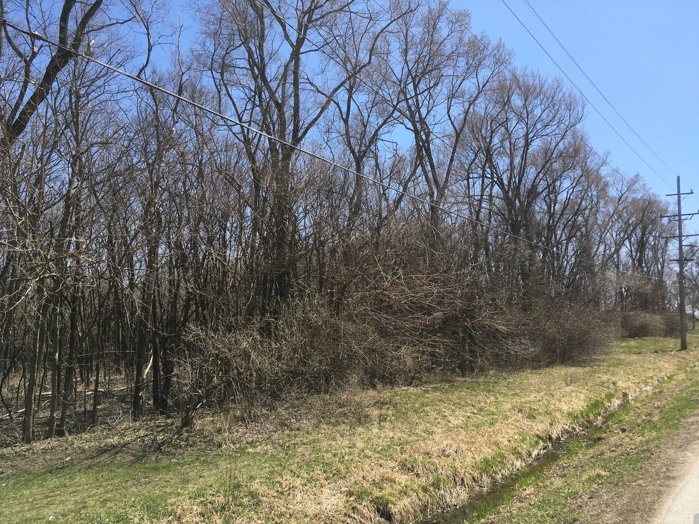 3560 North Dwight Road Morris, IL 60450 - Photo 3 of 5 a view of a yard with trees