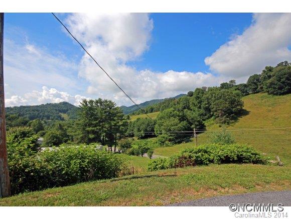 900 Iron Duff Road Waynesville, NC 28785 - Photo 17 of 18