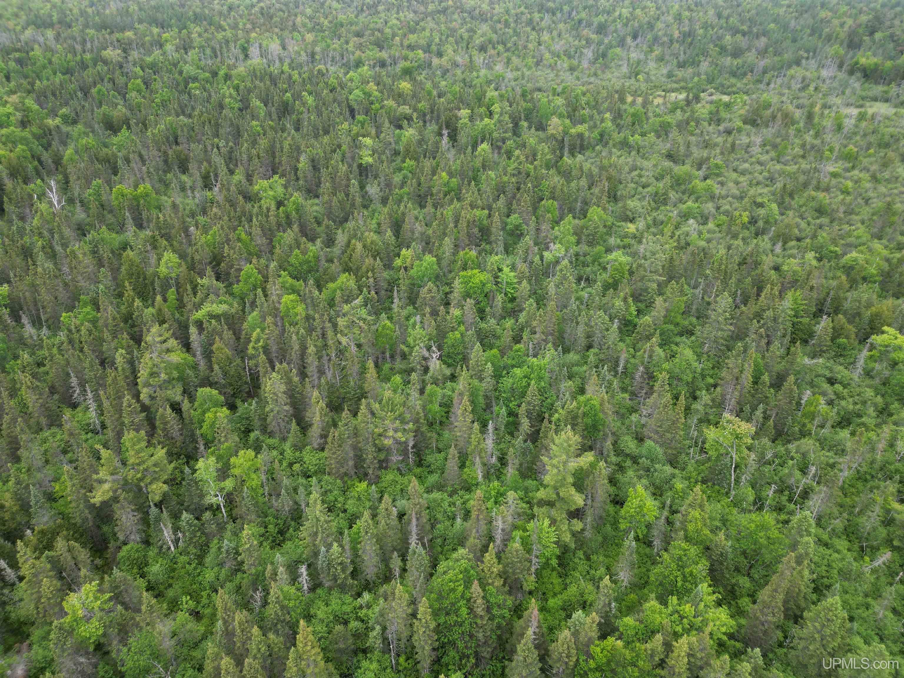 25 Ee 25 Road Rapid River, MI 49878 - Photo 3 of 7