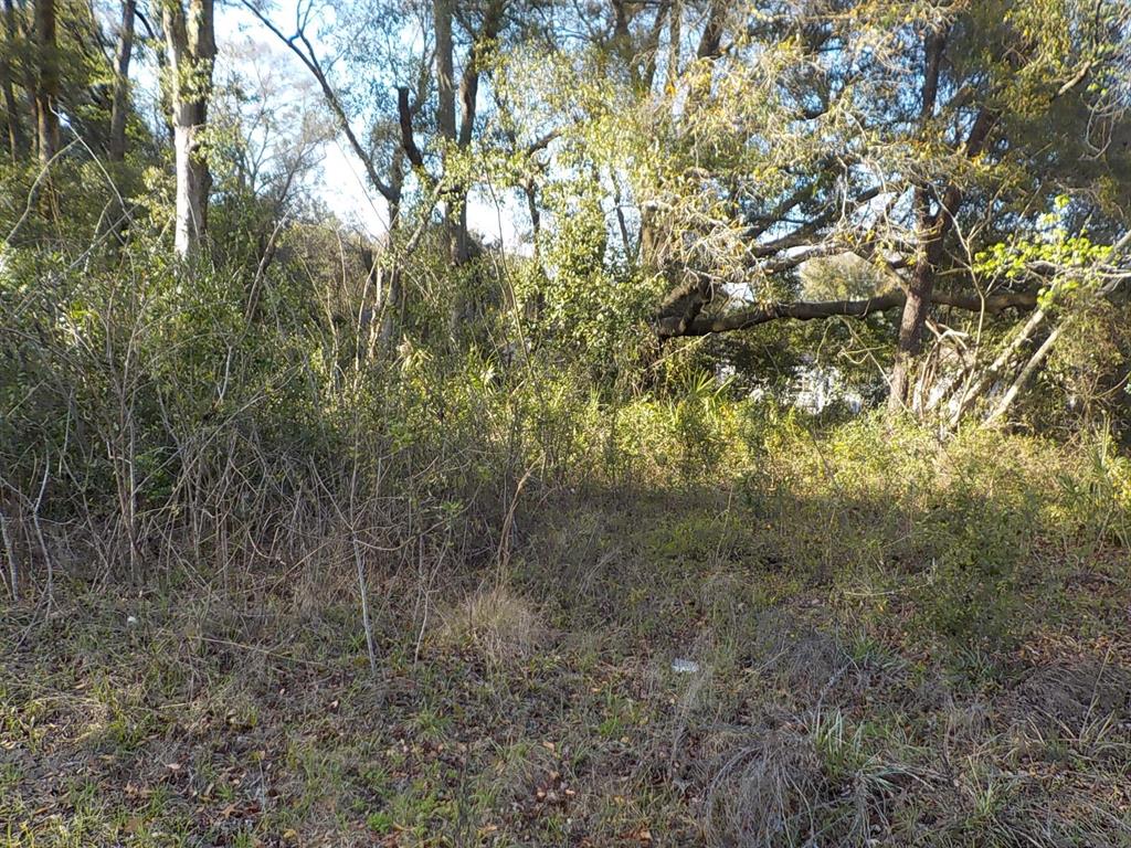 139 Southeast Se Lane Summerfield, FL 34491 - Photo 1 of 1