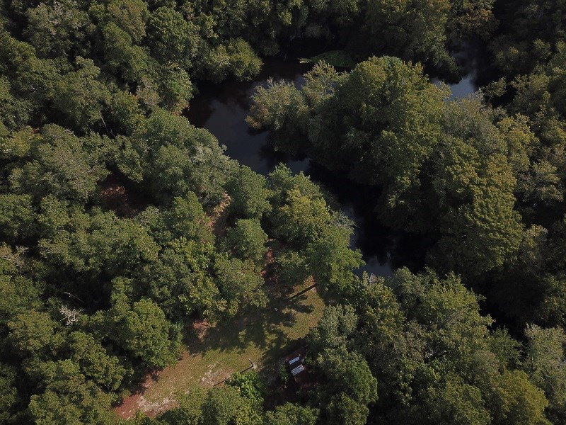 115 Smoak Cemetery Road Cordova, SC 29039 - Photo 9 of 28 Photo 9