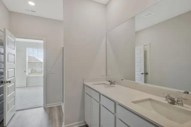 a bathroom with a sink and a mirror