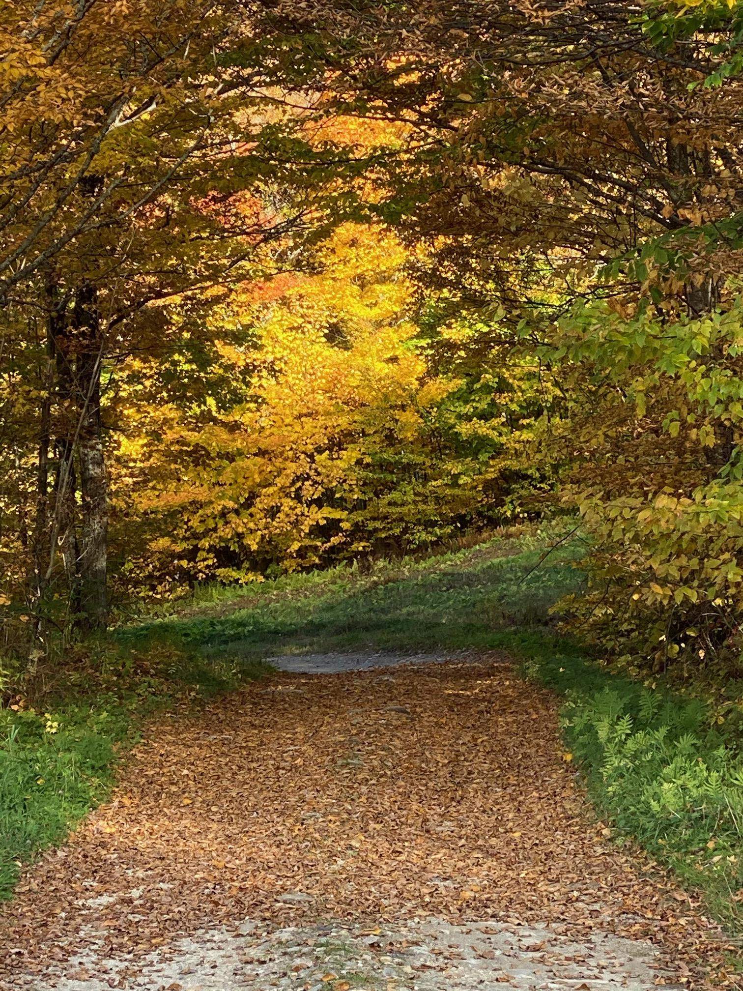 73 Alpine Drive, Unit C403 Killington, VT 05751 - Photo 21 of 23