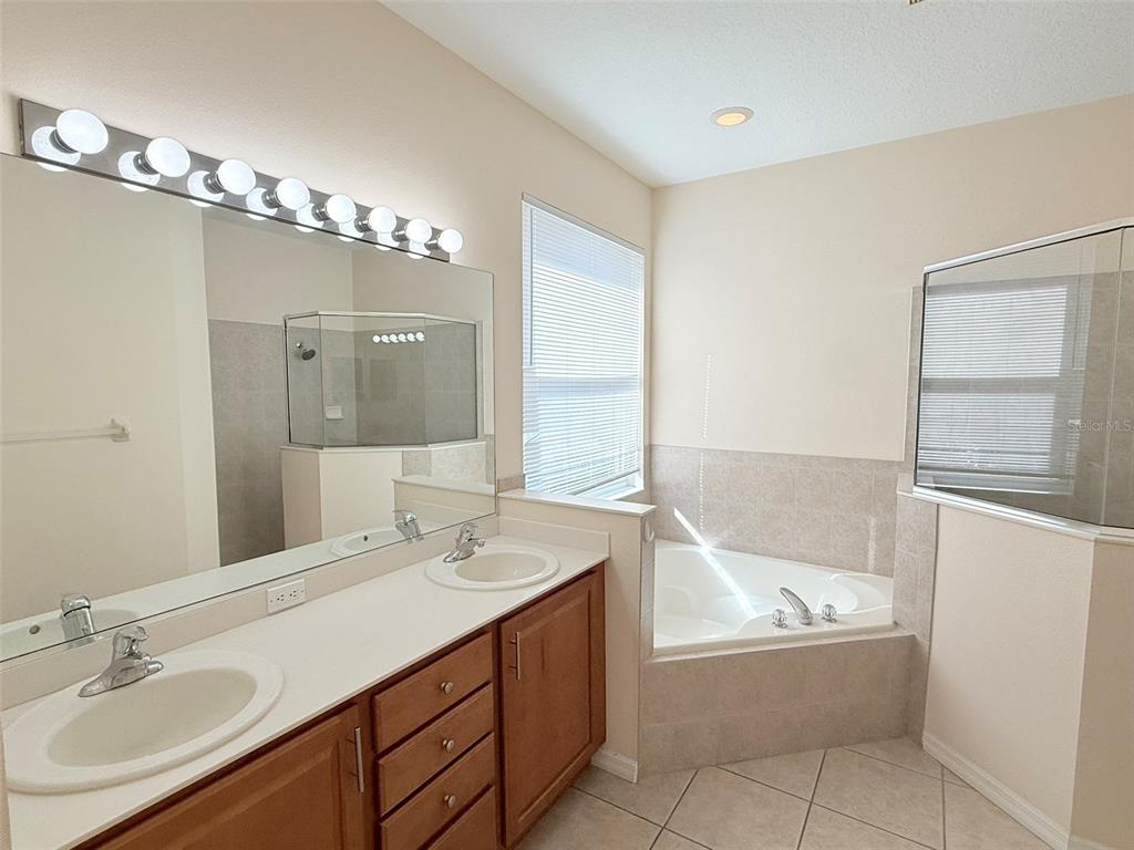 14163 Cattle Egret PIace Lakewood Ranch, FL 34202 - Photo 20 of 50 a bathroom with a tub sink and mirror