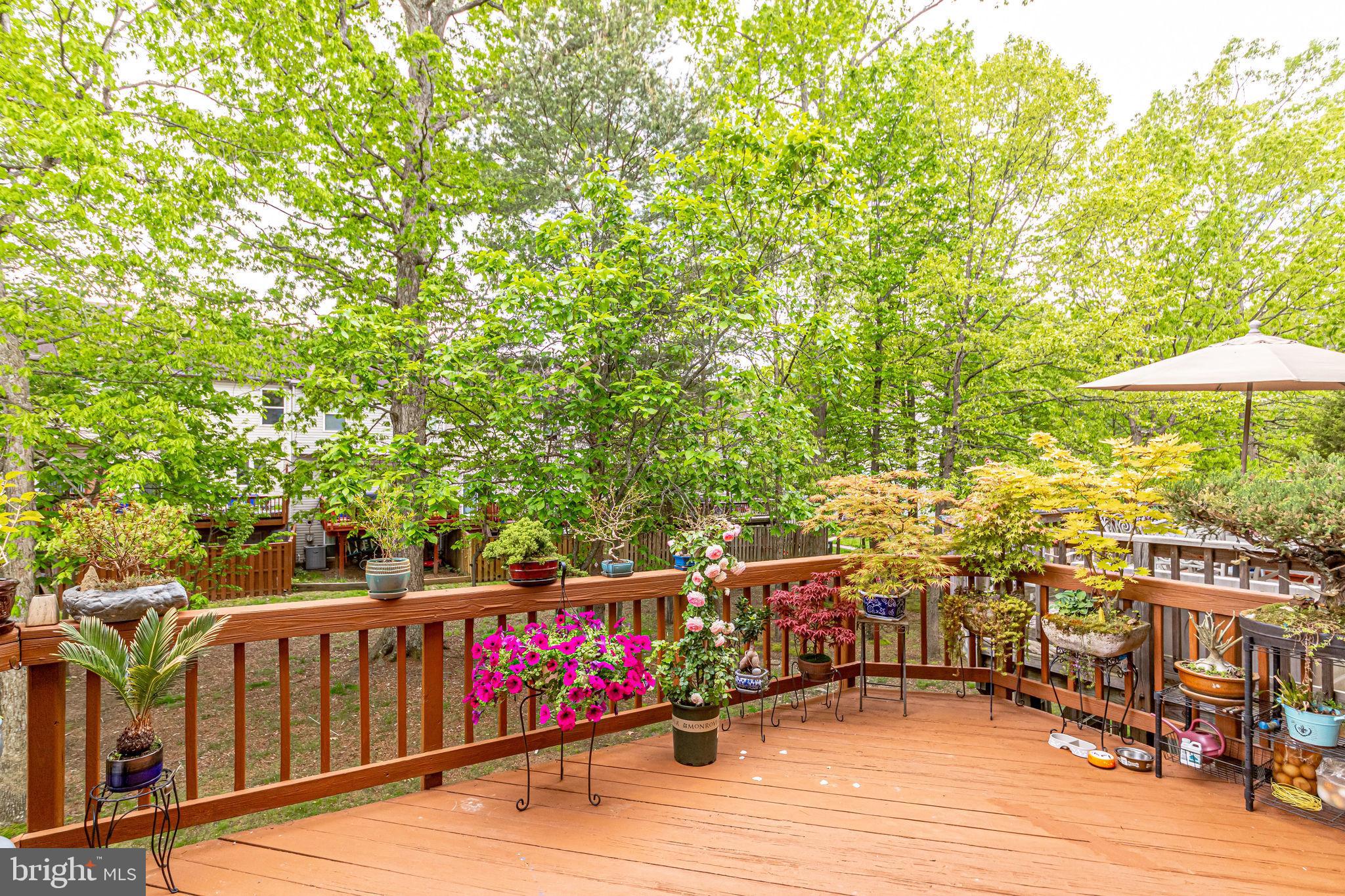 14853 Bolton Road Centreville, VA 20121 - Photo 33 of 37 Gallery Image 33