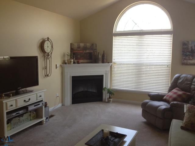 5360 Brookemonte Circle Rochester, MI 48306 - Photo 8 of 14 Electric Fireplace