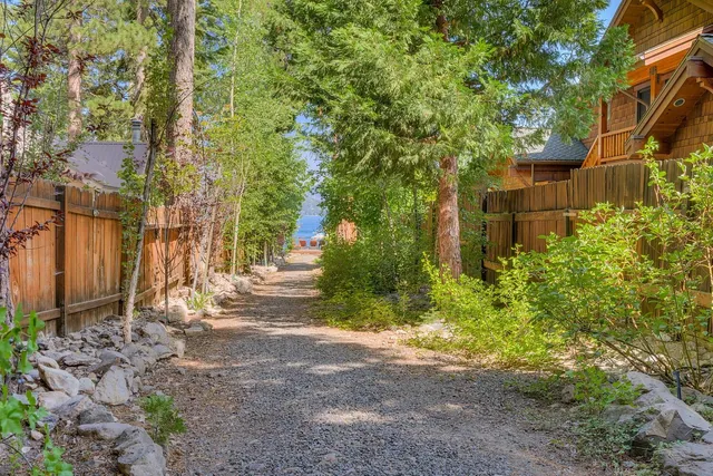 a view of a yard with plants and trees