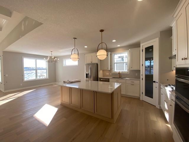 7428 Elm Lane Corcoran, MN 55340 - Photo 2 of 24