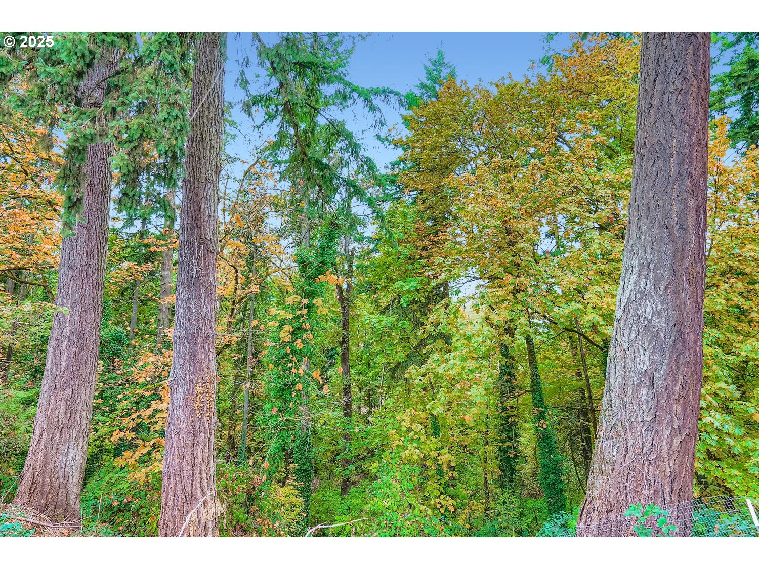 8295 Wheatland Road North Keizer, OR 97303 - Photo 43 of 48 View