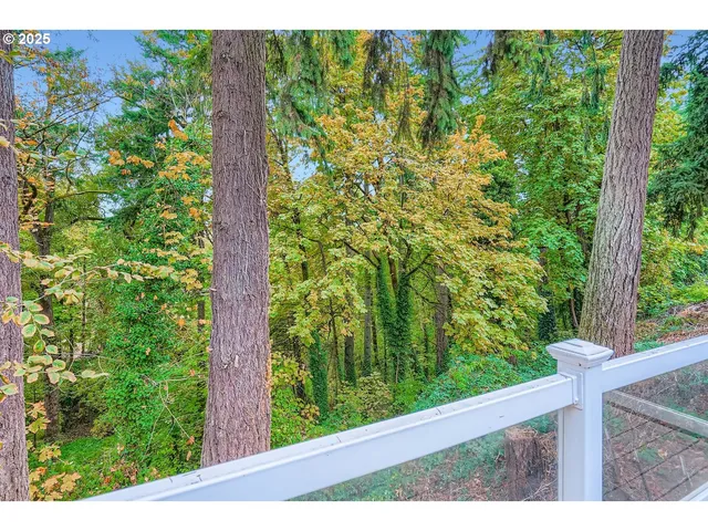 a view of a garden from a window