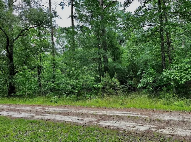 $45,000 | Tbd Lakeside Circle, Trinity, TX 75862