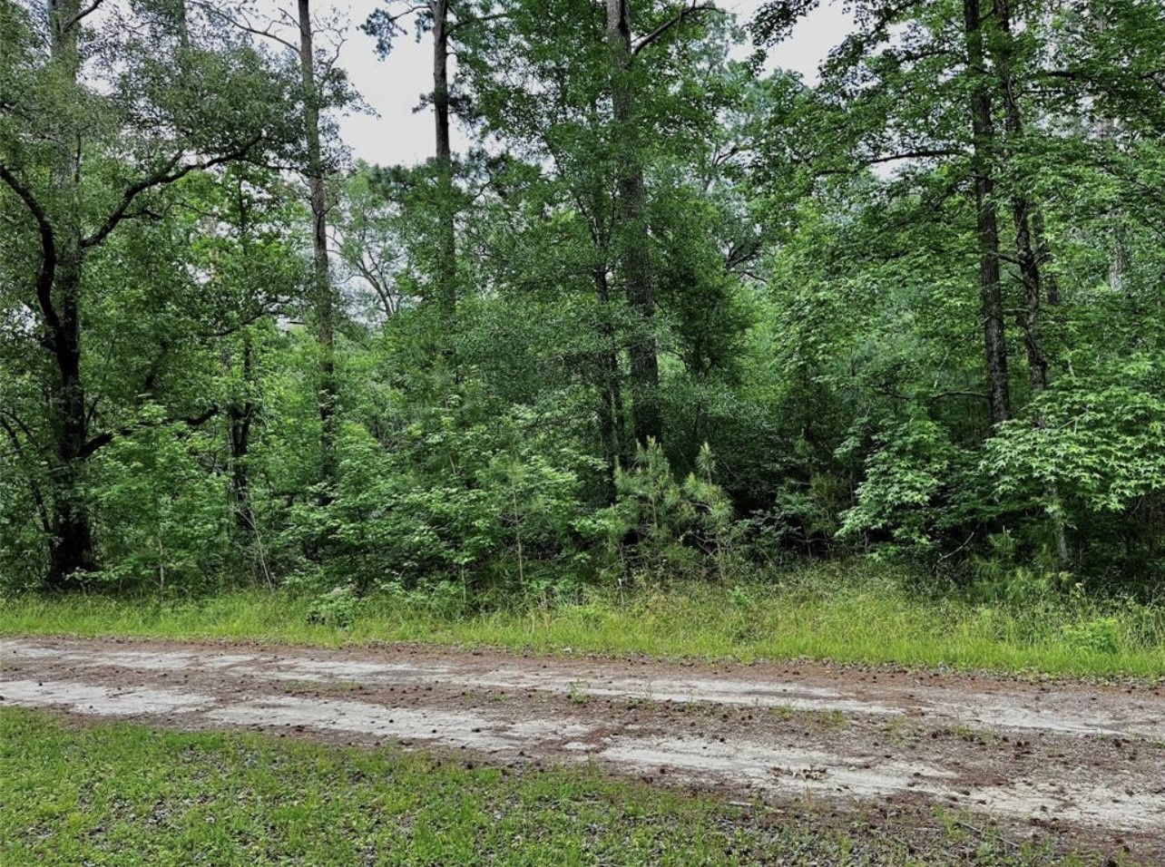 Tbd Lakeside Circle Trinity, TX 75862 - Photo 2 of 3