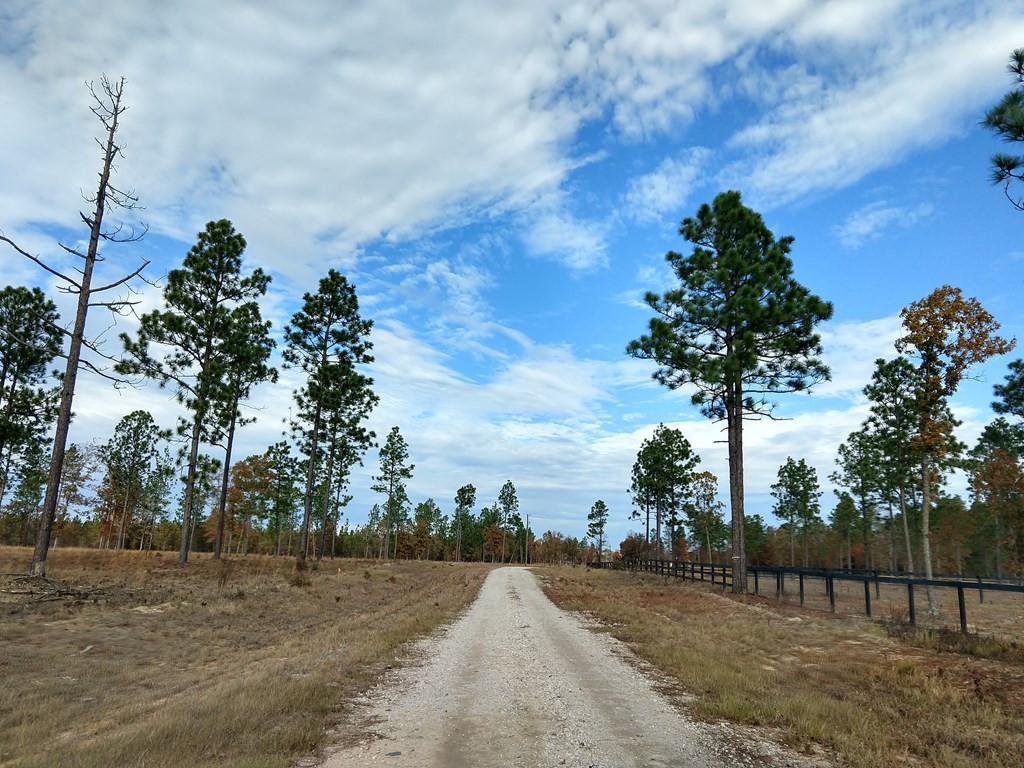 Lot 8 Tandem Trail Windsor, SC 29856 - Photo 3 of 7
