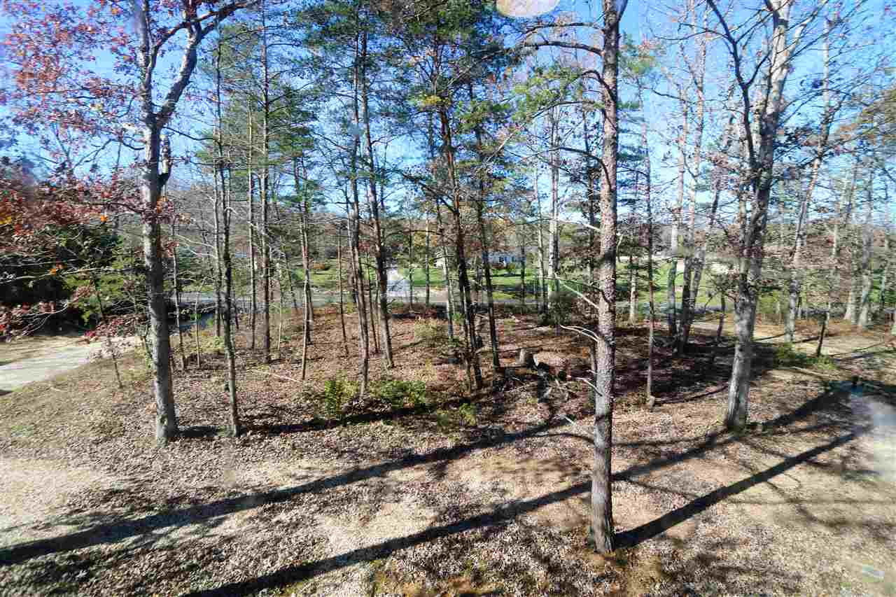 3092 Cold Springs Road Greenville, VA 24440 - Photo 8 of 35 Gallery Image 8