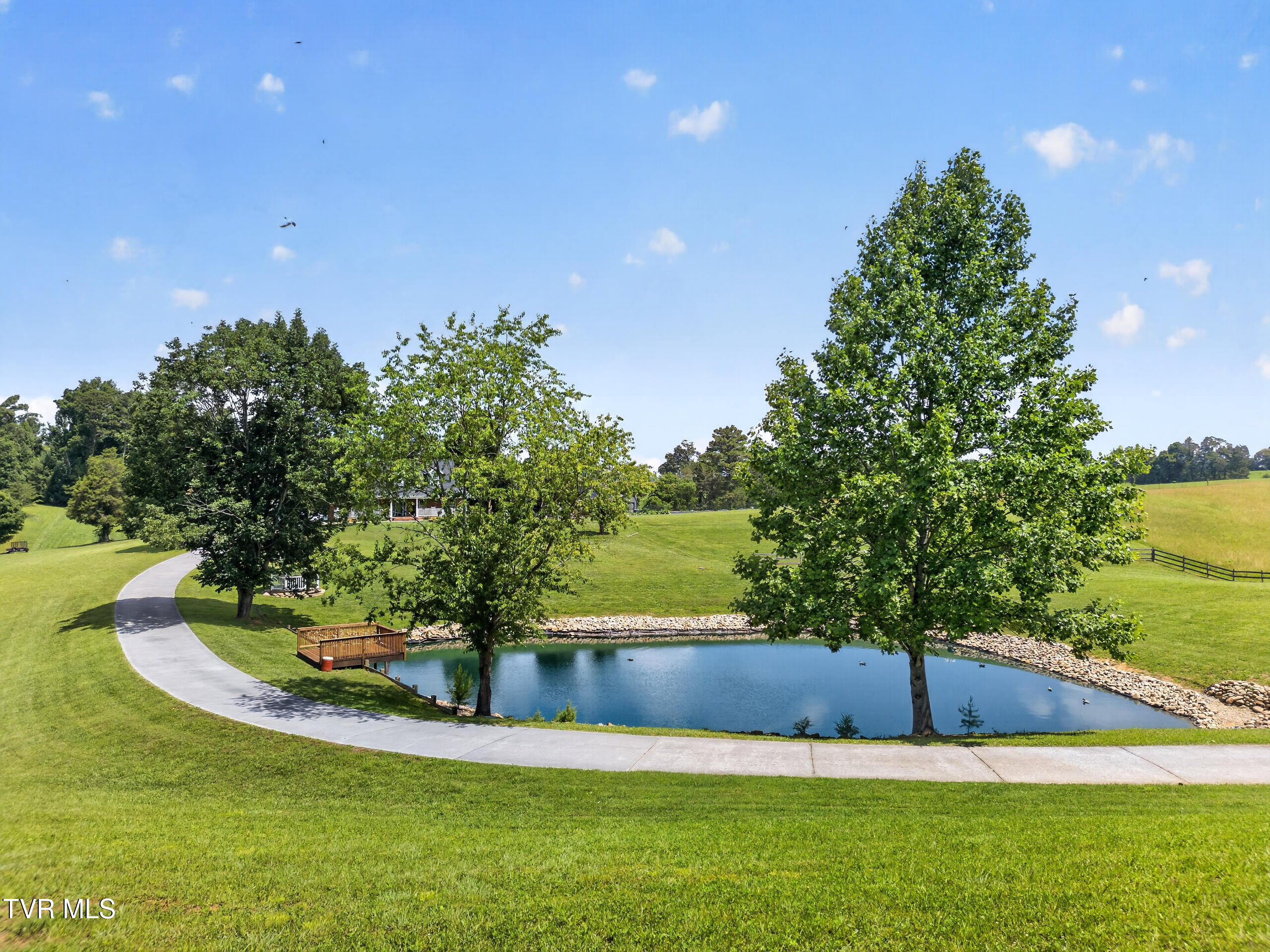 835 John Bird Road Afton, TN 37616 - Photo 35 of 158 DJI_0201