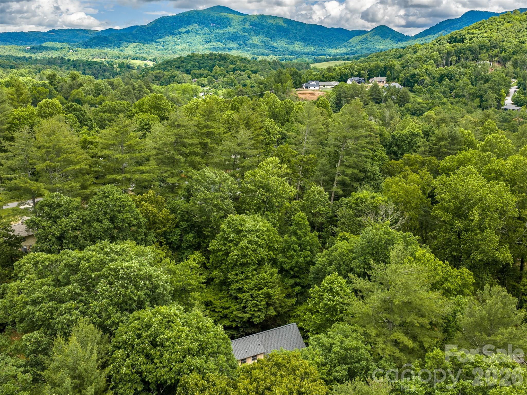 25 Blueberry Lane Fairview, NC 28730 - Photo 46 of 48