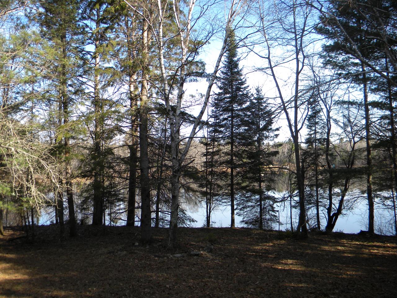 On Fawn Lake Road Hazelhurst, WI 54531 - Photo 5 of 12 Gallery Image 5