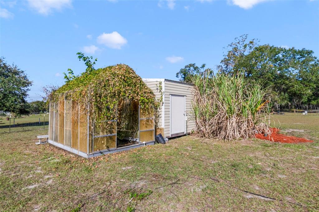 37041 North Thrill Hill Road Eustis, FL 32736 - Photo 23 of 25 a view of a backyard