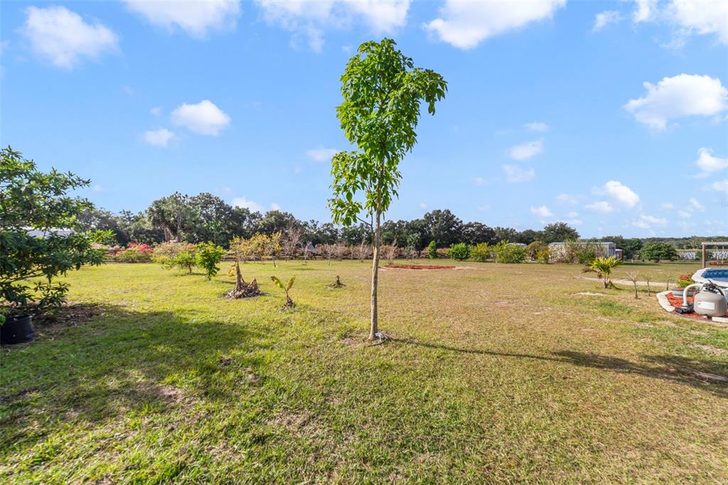 37041 North Thrill Hill Road Eustis, FL 32736 - Photo 4 of 25 a view of a lake