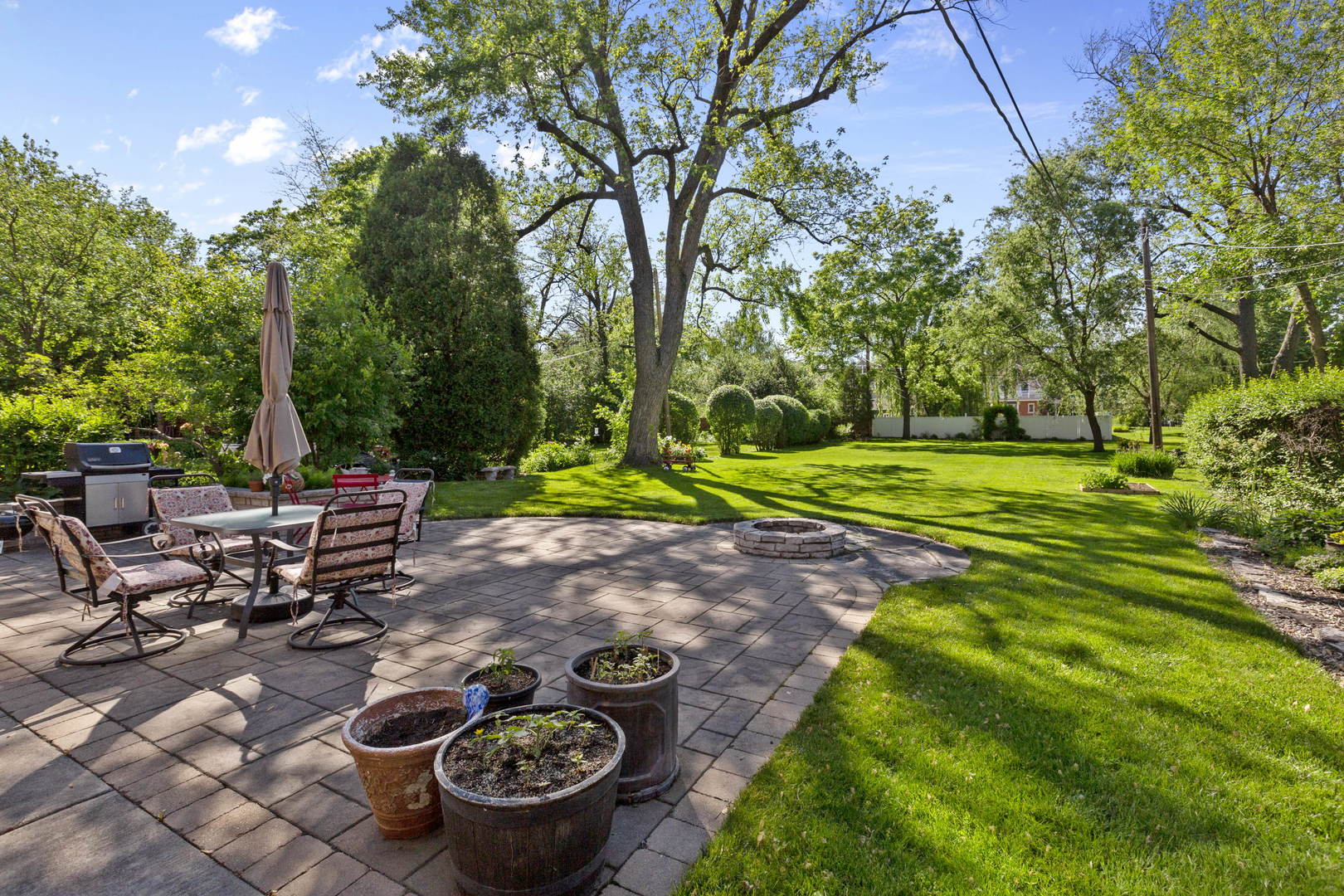 404 Selborne Road Riverside, IL 60546 - Photo 2 of 26 a view of a backyard with plants and trees
