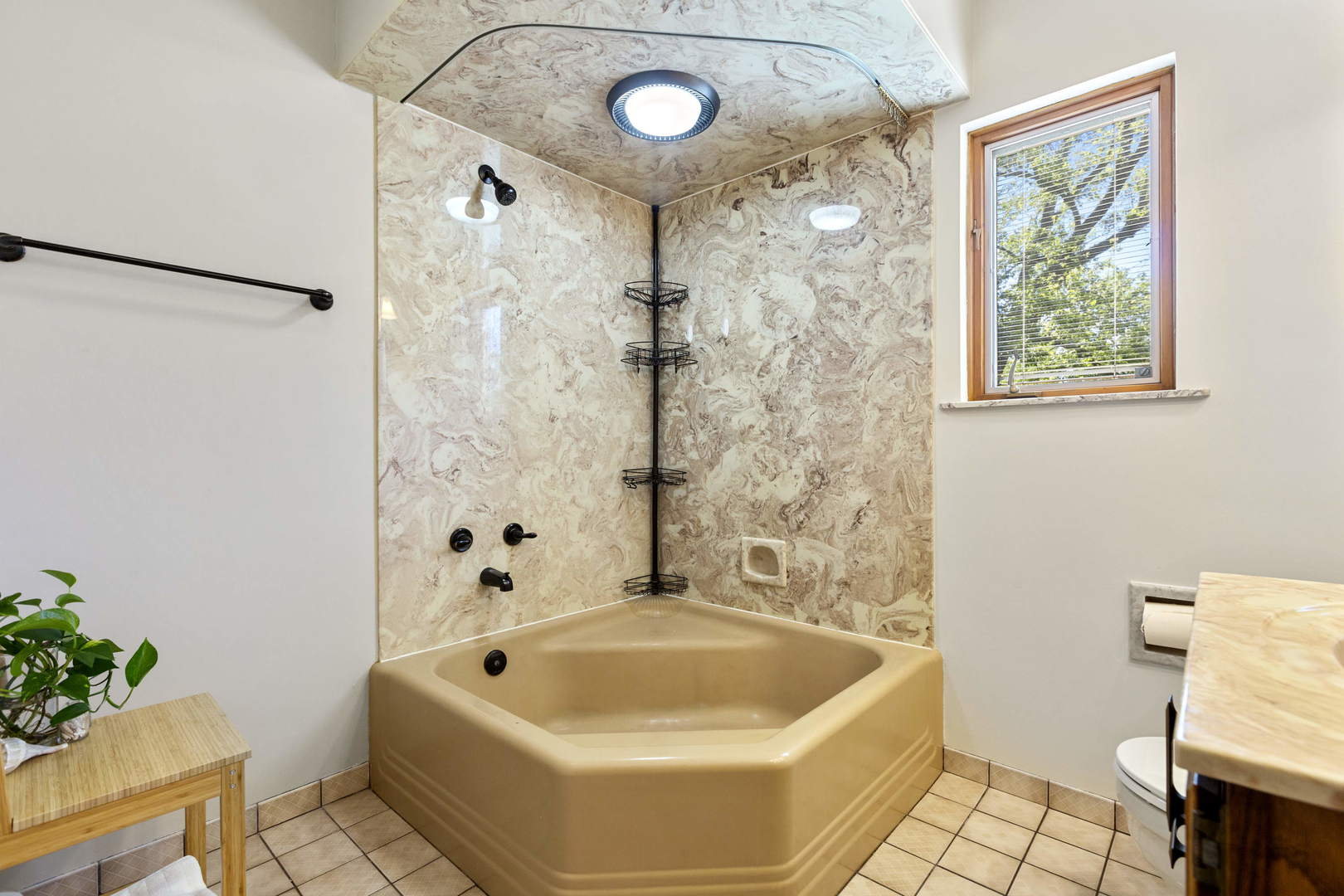 404 Selborne Road Riverside, IL 60546 - Photo 10 of 26 a bathroom with a tub a potted plant and a shower