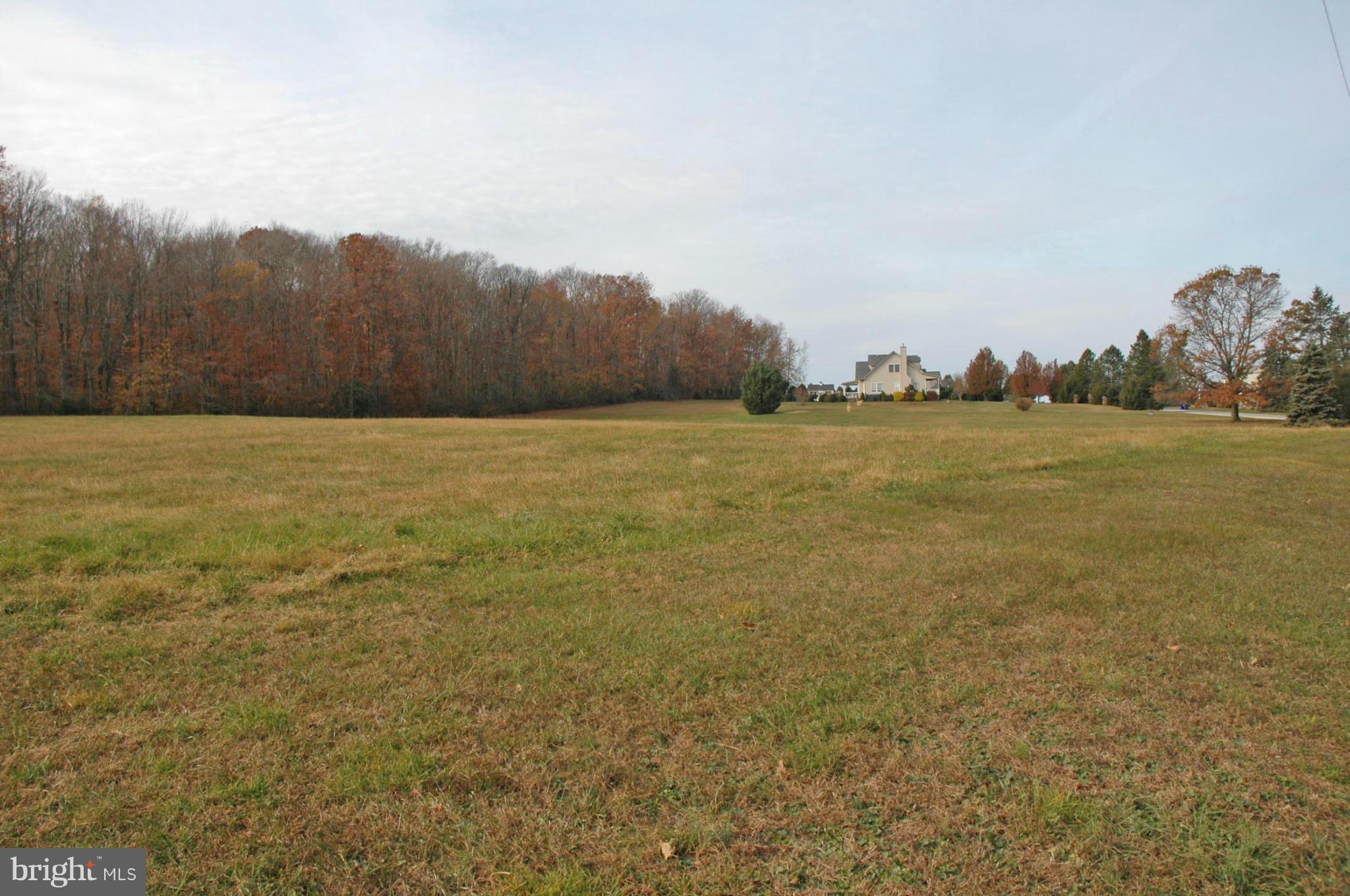 1 Pond Neck Road Earleville, MD 21919 - Photo 2 of 3 Exterior (General)