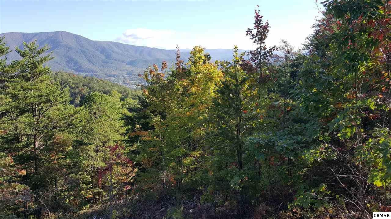 32 Hatcher Mountain Road Sevierville, TN 37862 - Photo 5 of 16