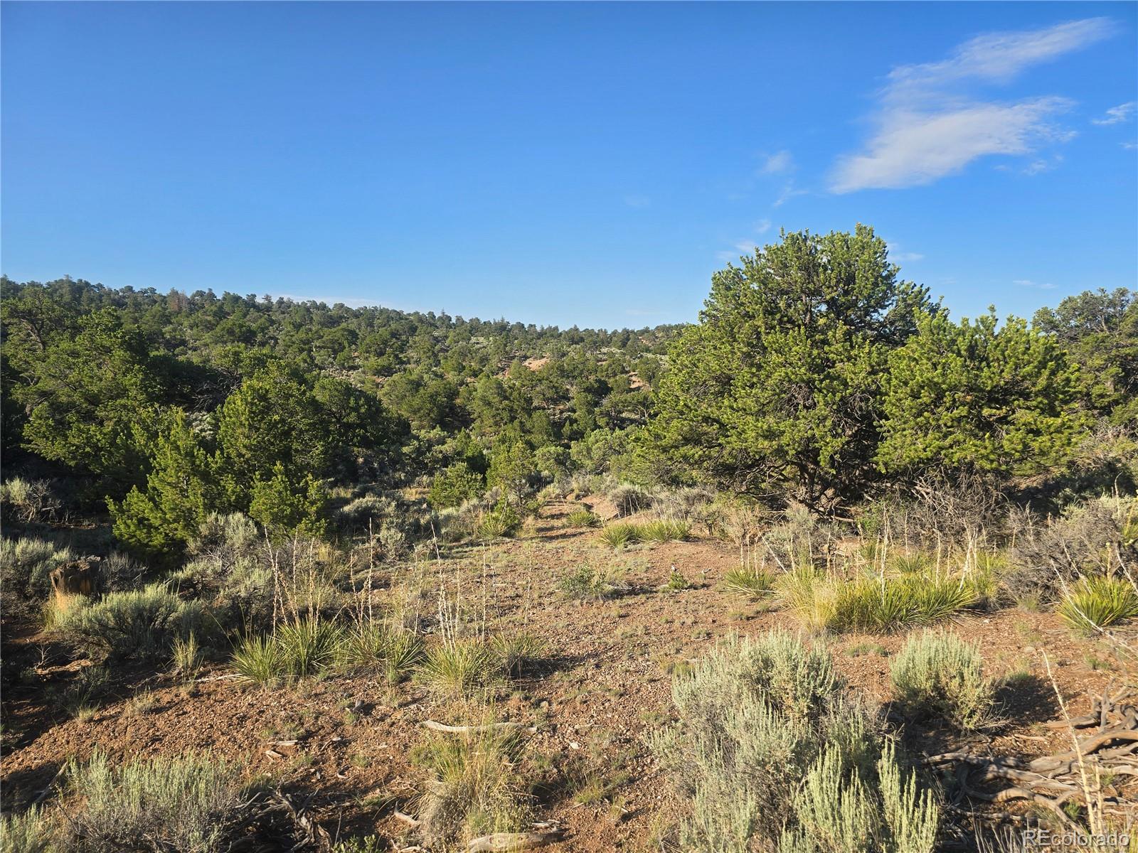 4000 Heating Road Fort Garland, CO 81133 - Photo 20 of 24 Gallery Image 20
