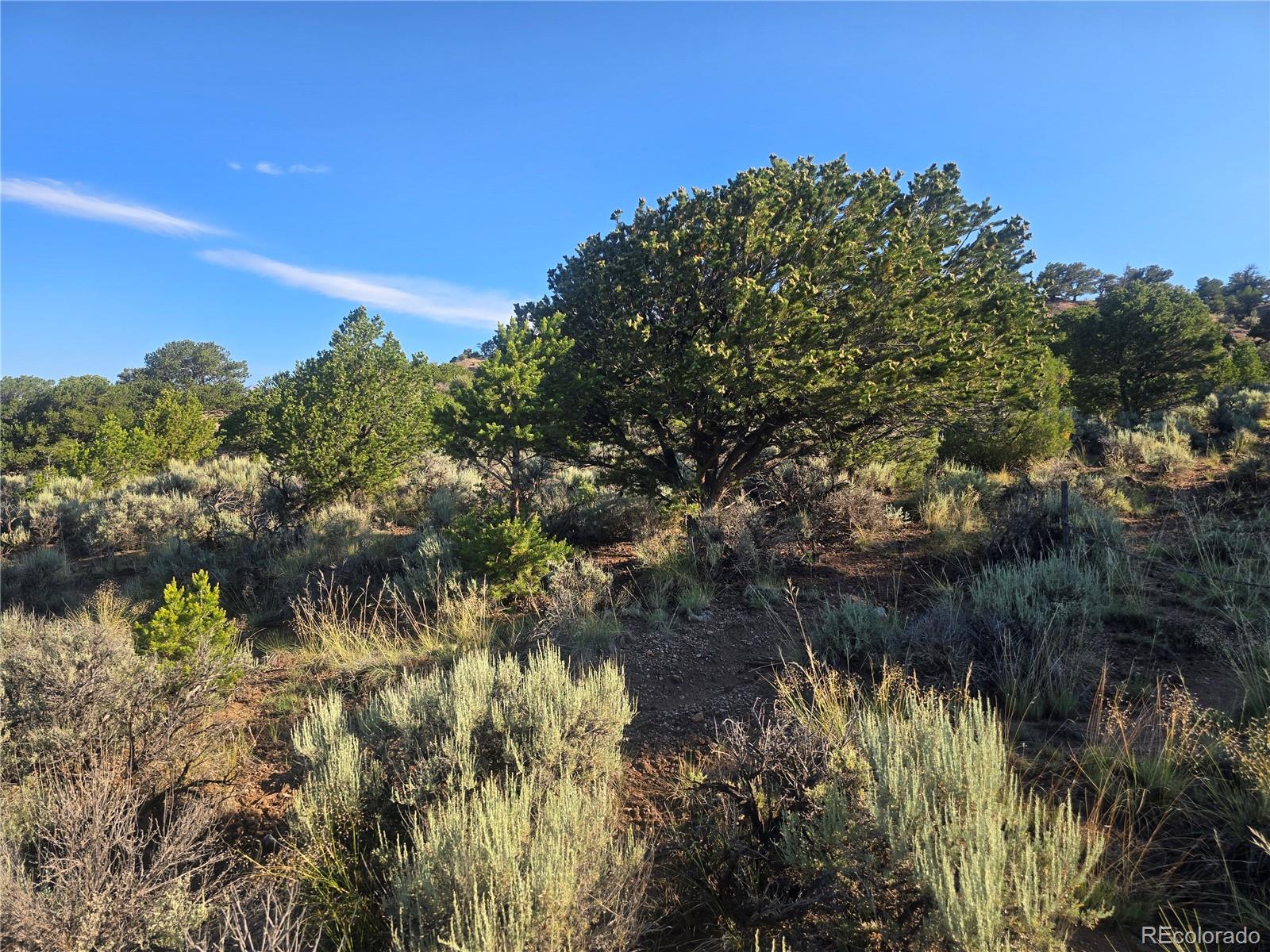 4000 Heating Road Fort Garland, CO 81133 - Photo 22 of 24 Gallery Image 22