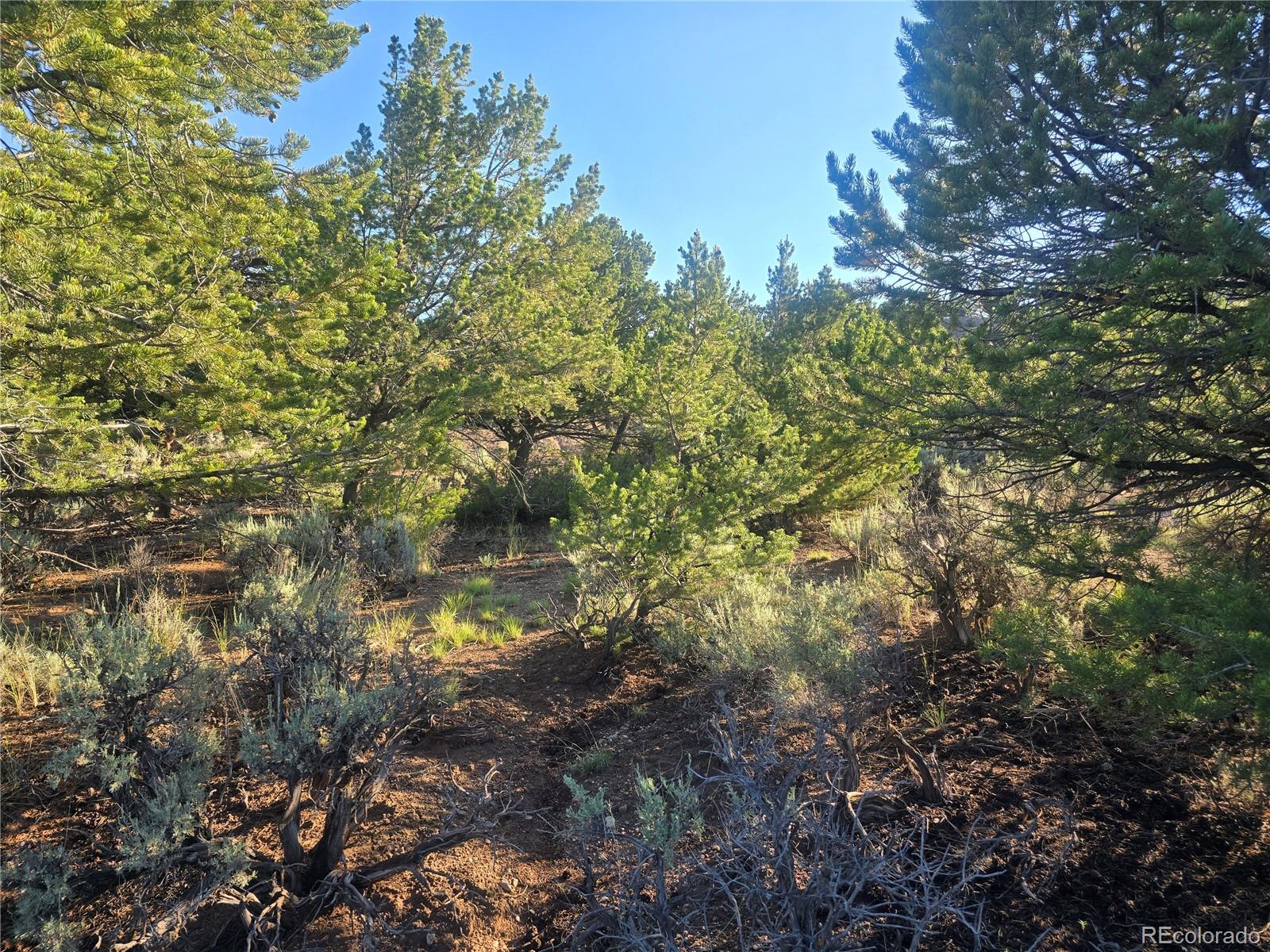 4000 Heating Road Fort Garland, CO 81133 - Photo 23 of 24 Gallery Image 23
