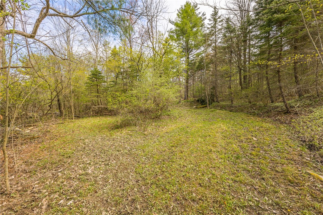 6057 Gulick Road Naples, NY 14512 - Photo 13 of 19