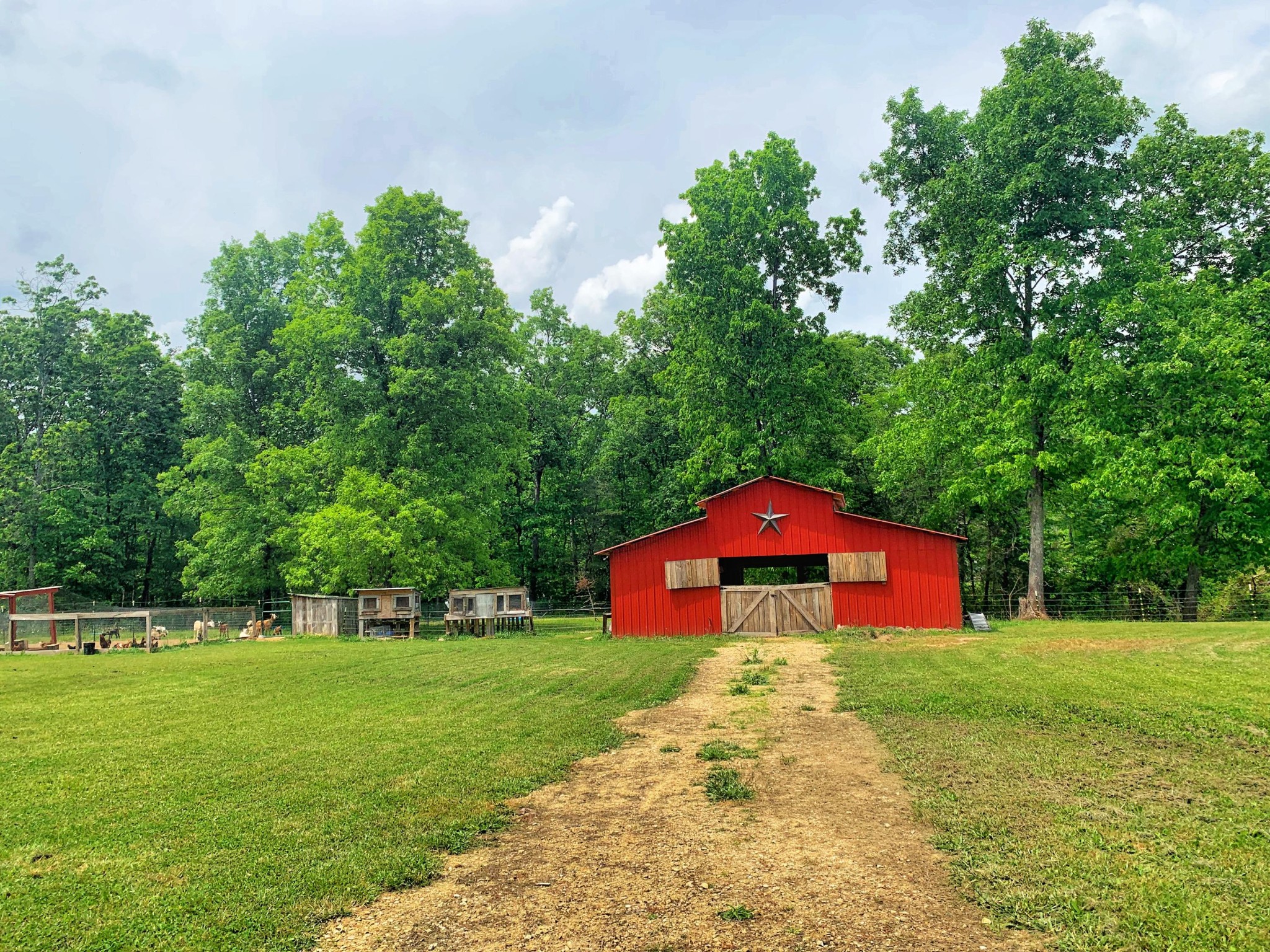 296 Sampson Road Crossville, TN 38572 - Photo 8 of 33 Gallery Image 8