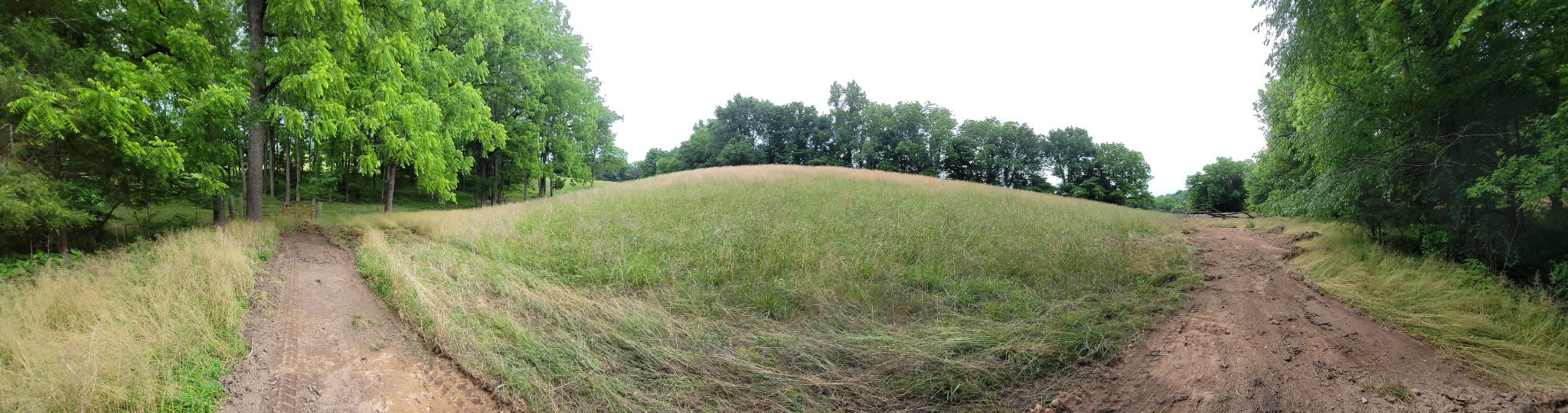 244 Access Road Pulaski, TN 38478 - Photo 23 of 34