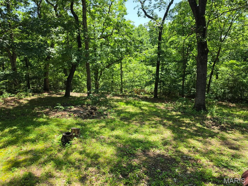 2099 Thunder Bluff Road St. Clair, MO 63077 - Photo 53 of 59